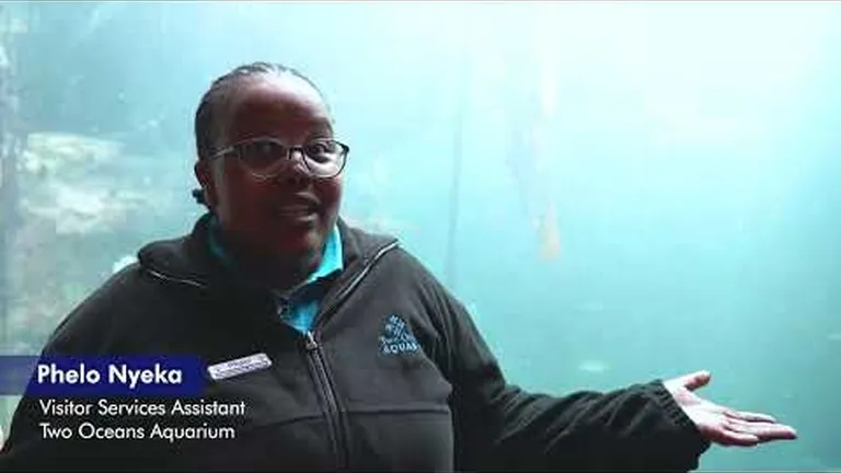 Our team shares a few small actions that they take for the good of the ocean