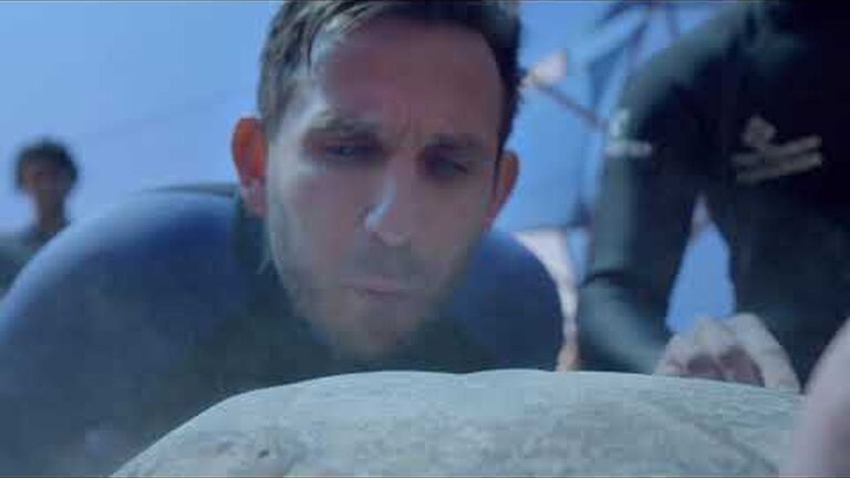 Take the 28 day challenge with ocean pledge and the two oceans aquarium for a healthier and more sus