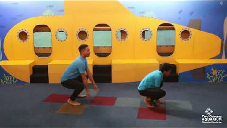 Catch spunky sea stories on cape town tv