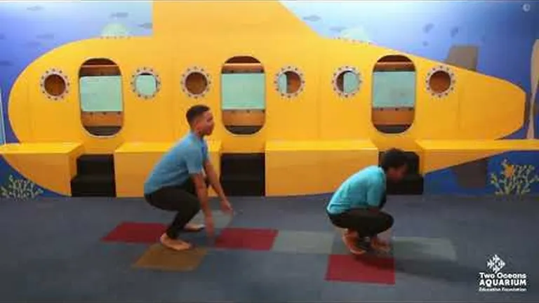 Catch spunky sea stories on cape town tv