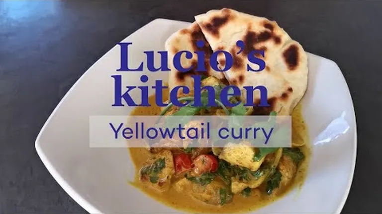 Lucio's kitchen: delicious and sustainable home-cooked yellowtail curry