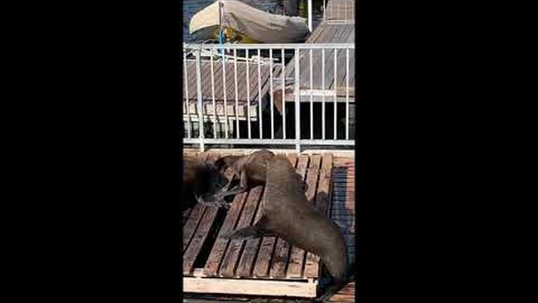 Highlights of 2020: looking back on an "interesting" year