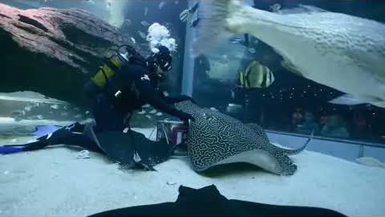 The ever-popular I&J Ocean Exhibit