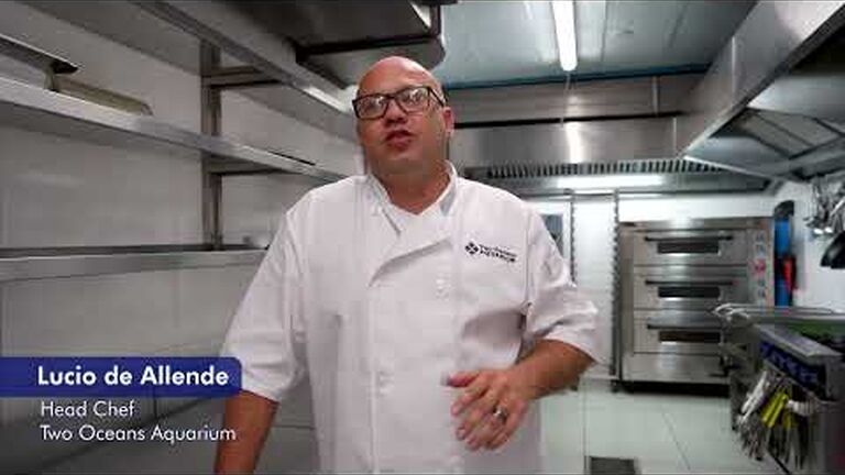 Our team shares a few small actions that they take for the good of the ocean