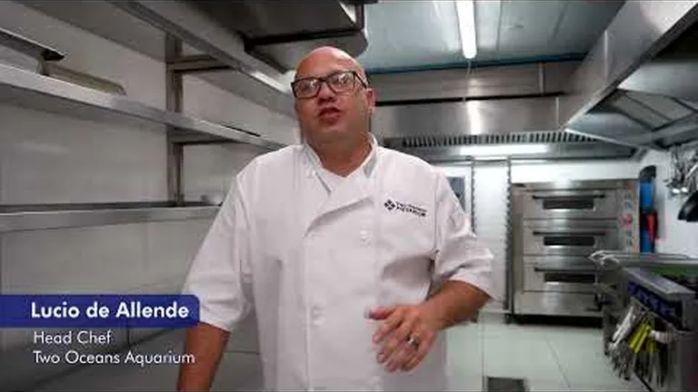 Our team shares a few small actions that they take for the good of the ocean