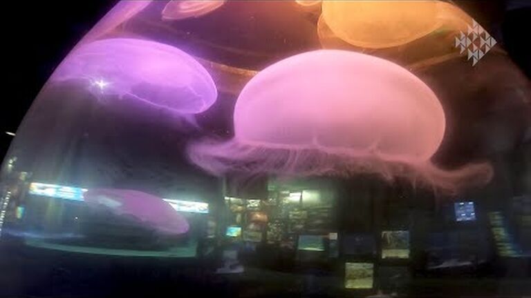 Highlights of 2020: looking back on an "interesting" year