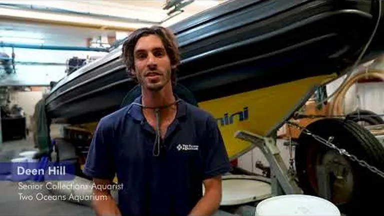 Our team shares a few small actions that they take for the good of the ocean