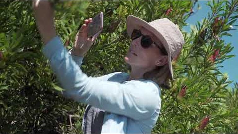 Join in the city nature challenge 2022 (let's help cape town win again!)