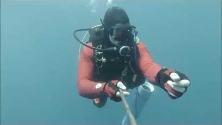 Life in the shadows: what does it take to be a nocturnal fish?