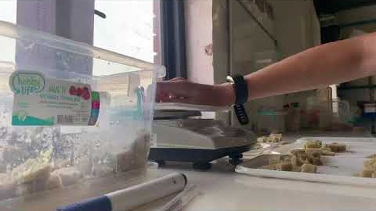 Turtles need breakfast too: the importance of mealtime for rescued sea turtles