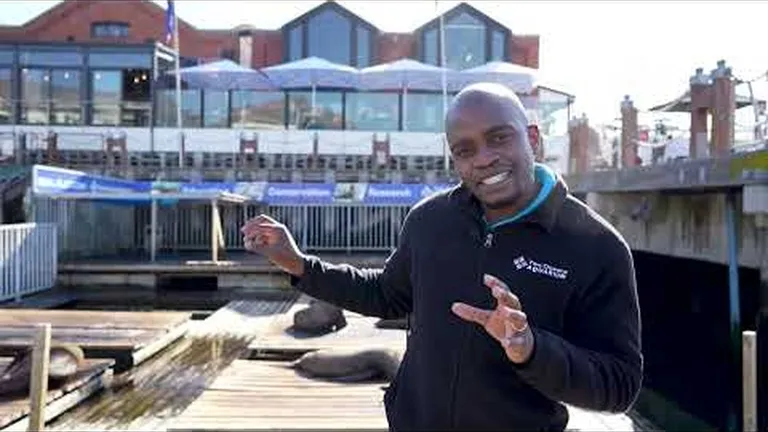 Our team shares a few small actions that they take for the good of the ocean