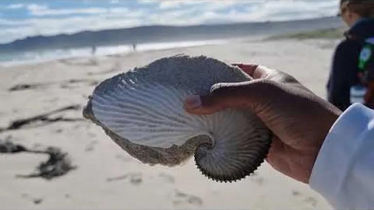 Kirshia and alex complete lighthouse 2 lighthouse ladies charity walk for a good cause