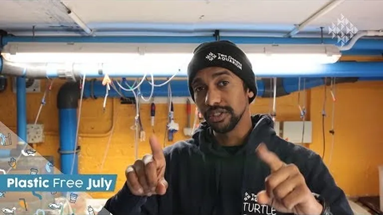 The amazing superpowers of jellyfish