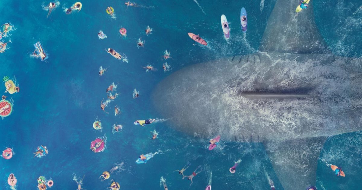 Two Oceans Aquarium | Megalodon: the real facts about the largest…