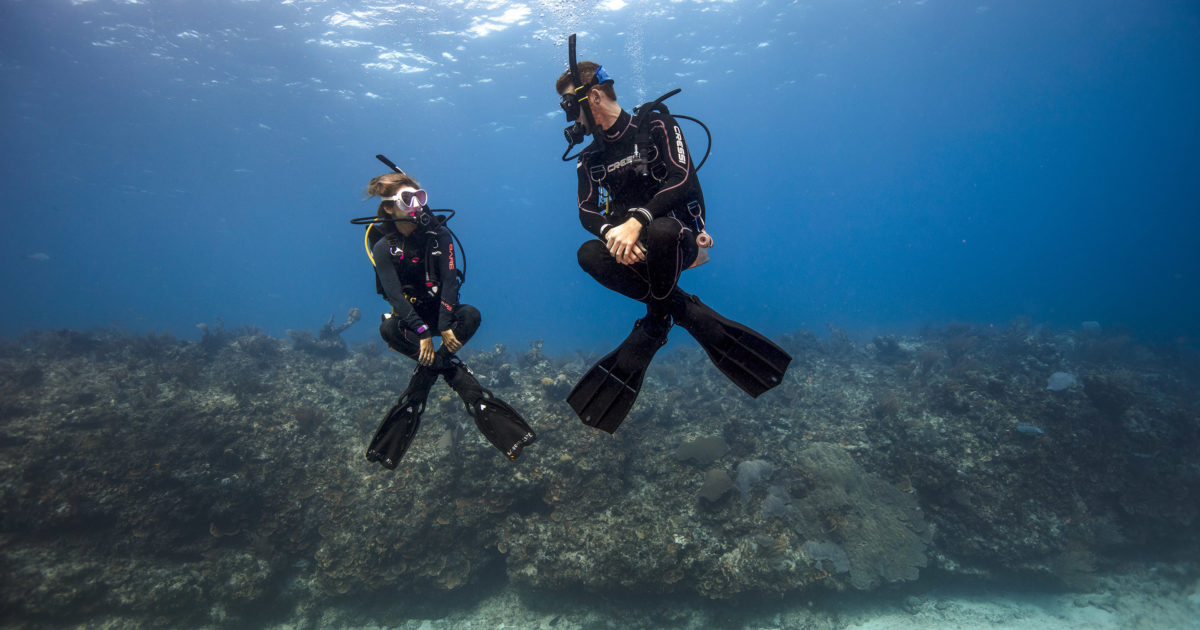 Two Oceans Aquarium PADI Peak Performance Buoyancy Course