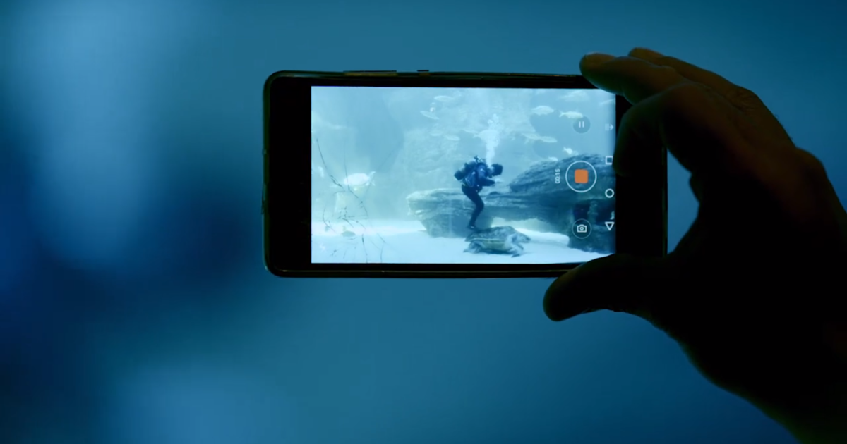 Two Oceans Aquarium Get our newsletter