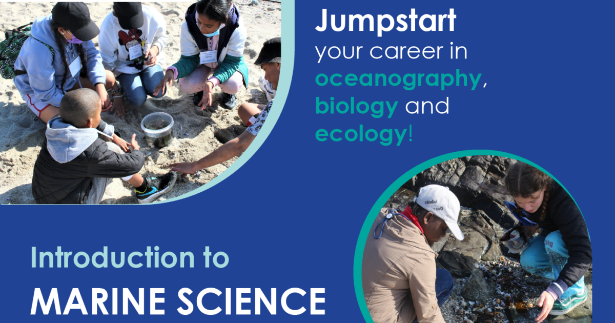 Two Oceans Aquarium Foundation Grade 8 & 9 Introduction to Marine…