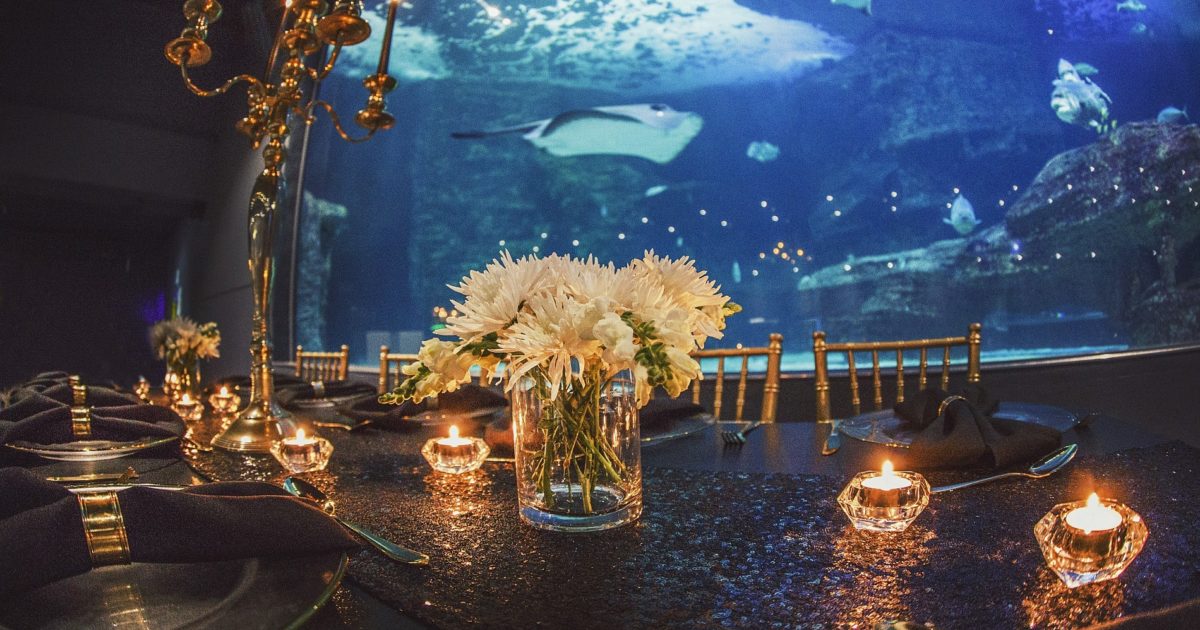 Two Oceans Aquarium Yearend functions, gala dinners, and cocktail…