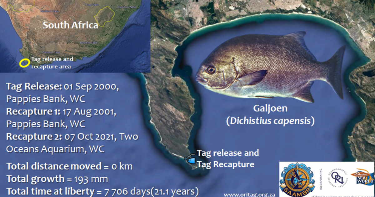 South African National Fish