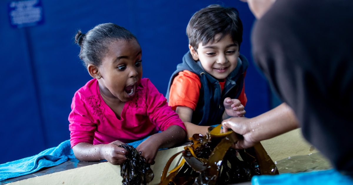 Two Oceans Aquarium An Aquarium membership the best gift of all