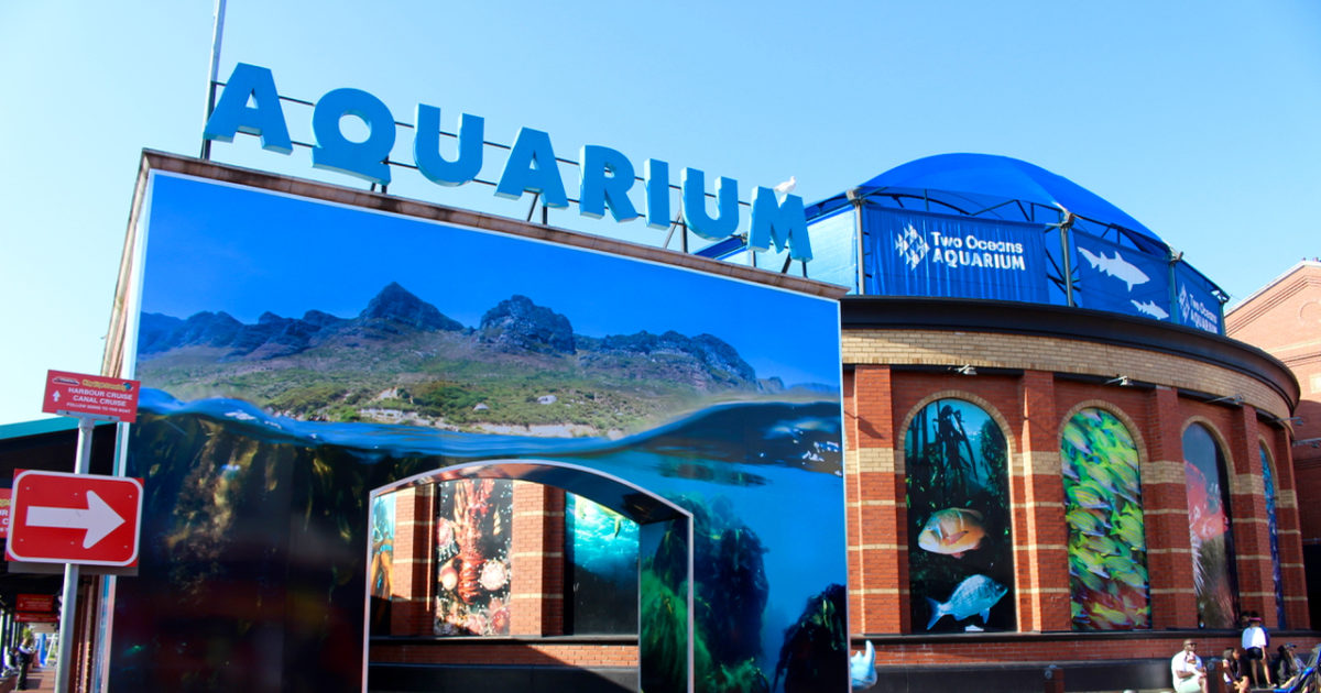 Two Oceans Aquarium Foundation Search