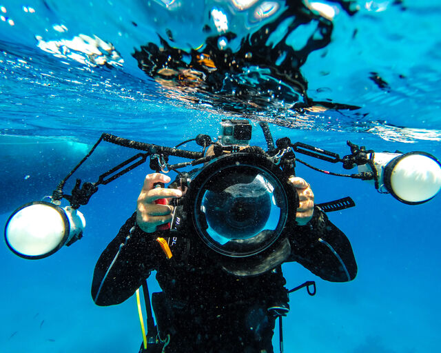 PADI Digital Underwater Photographer Course